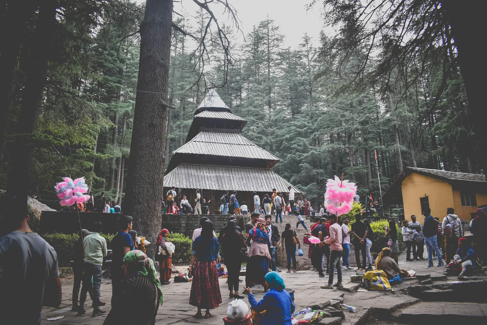 Manali local sightseeing (5 to 6 Hours)