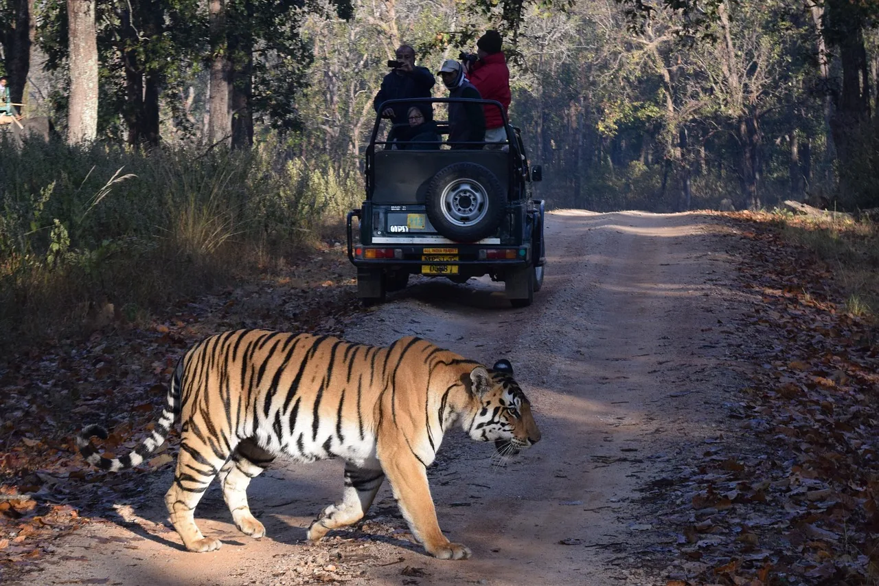 01 Night Stay in Jim Corbett & 1 Night Stay in Nainital