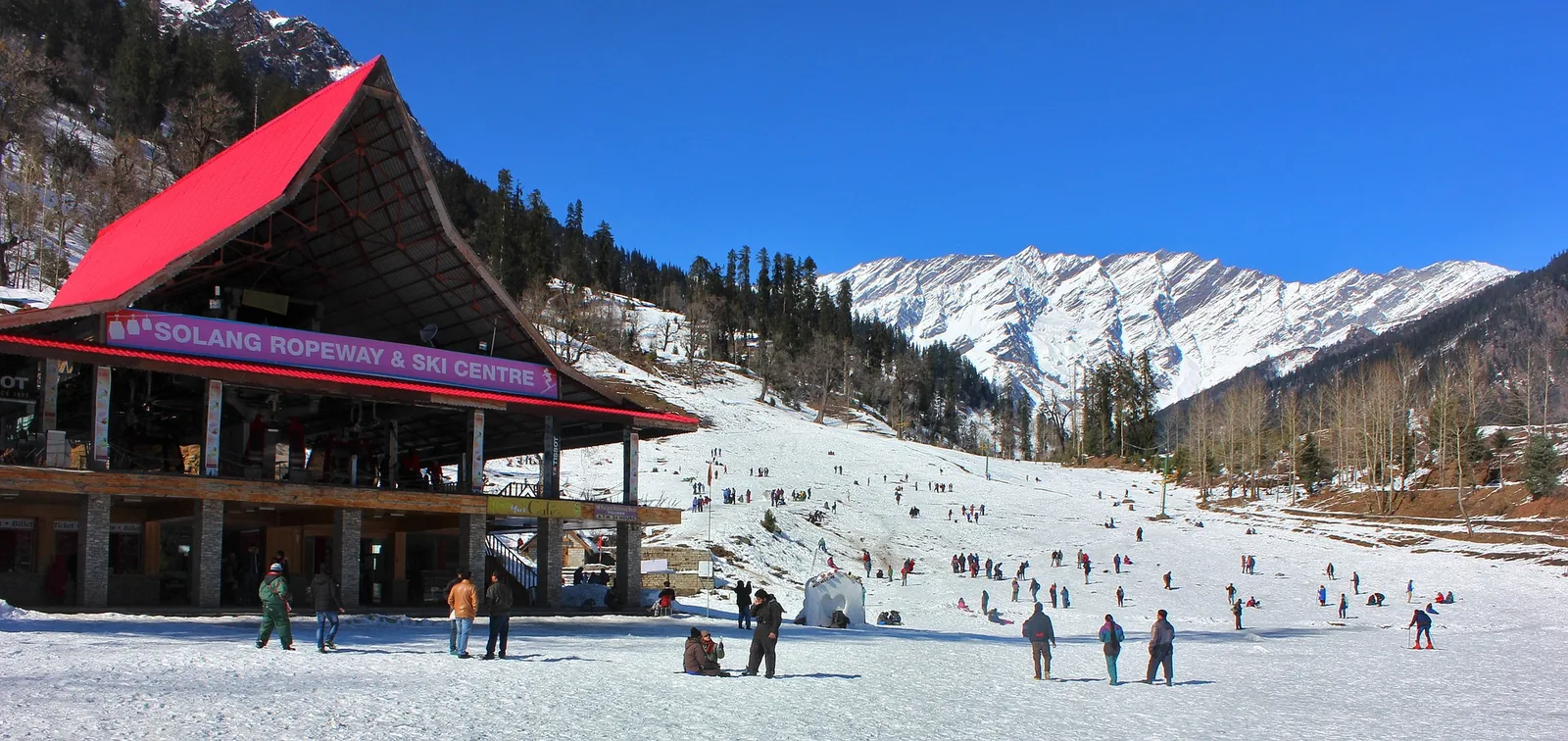 Full Day Solang Valley, Atal Tunnel, Sisu Valley or Rohtang Pass (8-10 Hours)